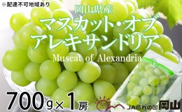 【ふるさと納税】ぶどう 2024年 先行予約 マスカット ・オブ・アレキサンドリア 約700g×1房  ブドウ 葡萄  岡山県産 国産 フルーツ 果物