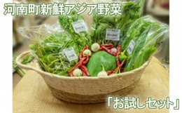 【ふるさと納税】No.331 河南町新鮮アジア野菜「お試しセット」 ／ 唐辛子 パクチー バジル 大阪府