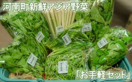 【ふるさと納税】No.332 河南町新鮮アジア野菜「お手軽セット」 ／ 唐辛子 パクチー バジル 大阪府