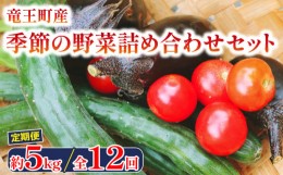 【ふるさと納税】【12ヶ月定期便】季節の野菜詰め合わせセット 約5kg ( 常温 季節 旬 春野菜 夏野菜 秋野菜 トマト 人参 きゅうり なす玉