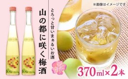 【ふるさと納税】【梅酒品評会受賞】山の都に咲く梅酒 370ml 2本 お酒 地酒 梅酒 お中元 お歳暮 熊本県 山都町【通潤酒造株式会社】[YAN0