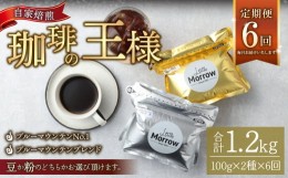 【ふるさと納税】【6ヶ月定期便】ブルーマウンテンストレート＆ブルーマウンテンブレンド 100g×2種×6回 【粉】