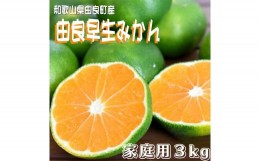 【ふるさと納税】▼和歌山由良町産 由良早生みかん 約3kg 訳あり キズ 御家庭用 サイズ混合  【sml003-yura-c3】