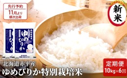 【ふるさと納税】【先行予約2024年産米・11月より順次出荷】北海道赤平産 ゆめぴりか 10kg (5kg×2袋) 特別栽培米 【6回お届け】 米 北海