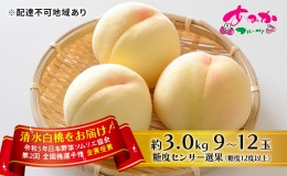 【ふるさと納税】桃 2024年 先行予約 清水 白桃 をお届け！約3.0kg 9〜12玉 糖度センサー選果 糖度12度以上 もも モモ 岡山県 赤磐市産 