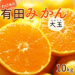 【ふるさと納税】DI6056_【2024年 先行予約】和歌山県産 有田みかん 大玉 10kg 2L〜3L 訳あり