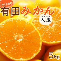 【ふるさと納税】DI6057_【2024年 先行予約】和歌山県産 有田みかん 大玉 5kg 2L〜3L 訳あり