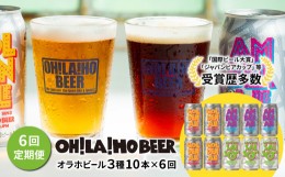 【ふるさと納税】【6回定期便】オラホビール3種飲み比べ10本セット