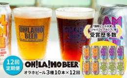 【ふるさと納税】【12回定期便】オラホビール3種飲み比べ10本セット