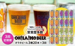 【ふるさと納税】【3回定期便】オラホビール3種飲み比べ20本セット