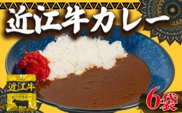 【ふるさと納税】近江牛 カレー 160g×6袋セット 【 レトルト カレー 黒毛和牛 牛肉 960g 肉 ギフト 自宅用 高級 黒毛和牛 国産 ふるさと