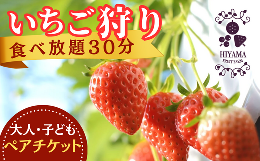 【ふるさと納税】檜山いちご園 いちご狩り　食べ放題30分　ペアチケット大人（中学生以上）１名様、子ども（３歳以上）１名様　チケット