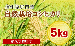 【ふるさと納税】自然栽培コシヒカリ小太郎米（精米出荷）5Kg [5963955]