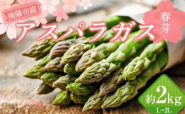 【ふるさと納税】【令和6年産先行予約】 アスパラガス (春芽) 約2kg (L〜2Lサイズ  約50〜90本前後) 《令和6年5月〜発送》 『生産者 紺野