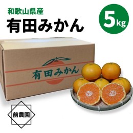 【ふるさと納税】BL6172_【先行予約】【産地直送】和歌山県産 有田みかん 5kg