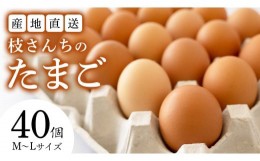 【ふるさと納税】枝さんちのたまご 40個 (M〜L40個) 産地直送 たまご 玉子 生卵 鶏卵 タマゴ 平飼い 桜川市産 茨城県産 卵 非遺伝子組換