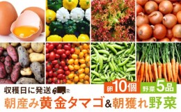 【ふるさと納税】糸島の朝産み黄金タマゴ10個 朝どれ新鮮野菜5品 セット【福岡県糸島産】 糸島市 / オーガニックナガミツファーム 玉子 