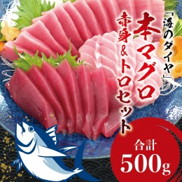 【ふるさと納税】本マグロ（養殖）トロ＆赤身セット 500g 【5月発送】 高級 クロマグロ  中トロ 中とろ まぐろ マグロ 鮪 刺身 赤身 柵 