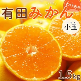 【ふるさと納税】DI6045_【2024年 先行予約】和歌山県産 有田みかん 小玉 1.5kg 訳あり