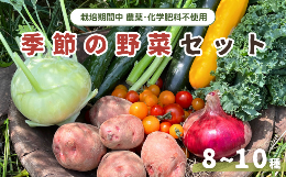 【ふるさと納税】旬 季節の野菜セット (8~10種)