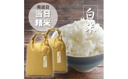 【ふるさと納税】福岡の食卓ではおなじみの人気のお米「夢つくし」5kg×2袋 10kg [白米]