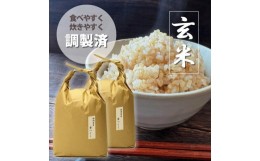 【ふるさと納税】福岡の食卓ではおなじみの人気のお米「夢つくし」5kg×2袋 10kg [玄米]