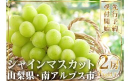 【ふるさと納税】5-51 【2024年発送】山梨県産 シャインマスカット2房(1？以上)ふるさと納税