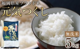 【ふるさと納税】＜令和5年産＞福岡県産ブランド米「元気つくし」無洗米5kg 【米 ブランド米 ブランド 白米 無洗米 元気つくし 令和5年産