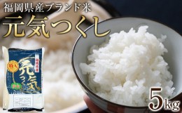 【ふるさと納税】＜令和5年産＞福岡県産ブランド米「元気つくし」白米5kg 【米 ブランド米 ブランド 白米 元気つくし 令和5年産 家庭用  