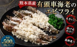 【ふるさと納税】エビフライ 冷凍食品 ギフト 計500g （250g×2パック） 取り寄せ 揚げるだけ 小分け 冷凍 有頭エビ 有頭エビフライ 有頭