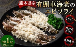 【ふるさと納税】【揚げるだけ！】鮮度の高い大きい有頭 車海老のエビフライ 250g×4パック 計1kg