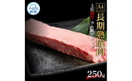 【ふるさと納税】天下味 エイジング工法 熟成肉 土佐和牛 特選 カルビブロック 250g エイジングビーフ 国産 牛肉 土佐 和牛 冷凍配送 真