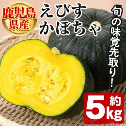 【ふるさと納税】鹿児島県産 えびすかぼちゃ(約5kg) 国産 野菜 かぼちゃ カボチャ 南瓜 煮物 天ぷら バーベキュー BBQ スイーツ お菓子 