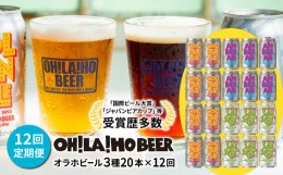 【ふるさと納税】【12回定期便】オラホビール3種飲み比べ20本セット