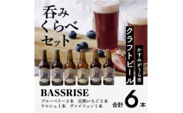 【ふるさと納税】クラフトビール6本セット(ブルーベリー、完熟いちご各2本/ケルシュ、ヴァイツェン各1本)【1235340】