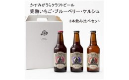 【ふるさと納税】クラフトビール3本セット(ブルーベリー・完熟いちご・ケルシュ)【1301706】