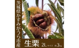 【ふるさと納税】＜2024年10月発送開始＞産地直送!久保田果樹園の生栗2Lサイズ約3kg【1428288】