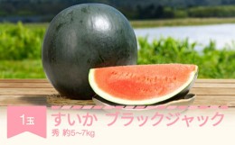 【ふるさと納税】すいか ブラックジャック 1玉入り (5〜7kg) 令和6年産 2024年産 果物 no-subjc1 ※沖縄・離島への配送不可