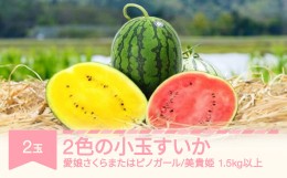 【ふるさと納税】すいか 2色の小玉すいか 2玉 令和6年産 2024年産 果物 no-suwck2 ※沖縄・離島への配送不可