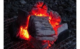 【ふるさと納税】【火つき・火力・火持ちよしの国産高級木炭】岩手切炭（ＧＩ）6ｋｇ×4個　なら堅一級