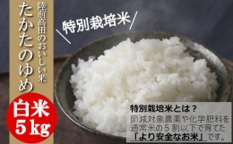 【ふるさと納税】 ( 令和５年産 )  【 特別栽培米 】たかたのゆめ 白米 5kg