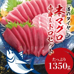 【ふるさと納税】本マグロ（養殖）トロ＆赤身セット 1350g 【6月発送】 高級 クロマグロ 中トロ 中とろ  まぐろ マグロ 鮪 刺身 赤身 柵 