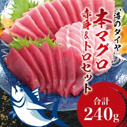 【ふるさと納税】本マグロ（養殖）トロ＆赤身セット 240g 【5月発送】高級 クロマグロ 中トロ 中とろ まぐろ マグロ 鮪 刺身 赤身 柵 じ