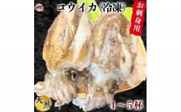 【ふるさと納税】岬だよりのお刺身用天然コウイカ1.2kg(4〜5杯)