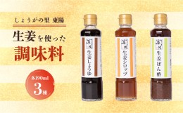 【ふるさと納税】しょうがの里東陽 生姜を使った調味料 3本セット