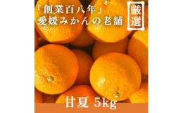 【ふるさと納税】＜木成り完熟＞新口農園厳選 甘夏 5kg＜C70-26＞【1470662】