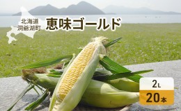 【ふるさと納税】北海道産 とうもろこし 恵味 ゴールド 2L 20本 朝採り めぐみ イエロー トウモロコシ 玉蜀黍 スイートコーン とうきび 