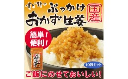 【ふるさと納税】国産ぶっかけおかず生姜 10袋 おかず ご飯のお供 ご飯 ごはん 生姜 国産 常温 栃木県 壬生町