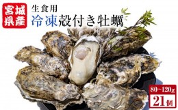 【ふるさと納税】宮城県産 冷凍 殻付き 牡蠣 21個（7個入り×3パック）生食可 小分け