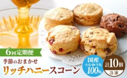 【ふるさと納税】【6回定期便】 リッチハニースコーン アソート 10個 スイーツ 洋菓子 焼菓子 多治見市/famfam [TAK012]